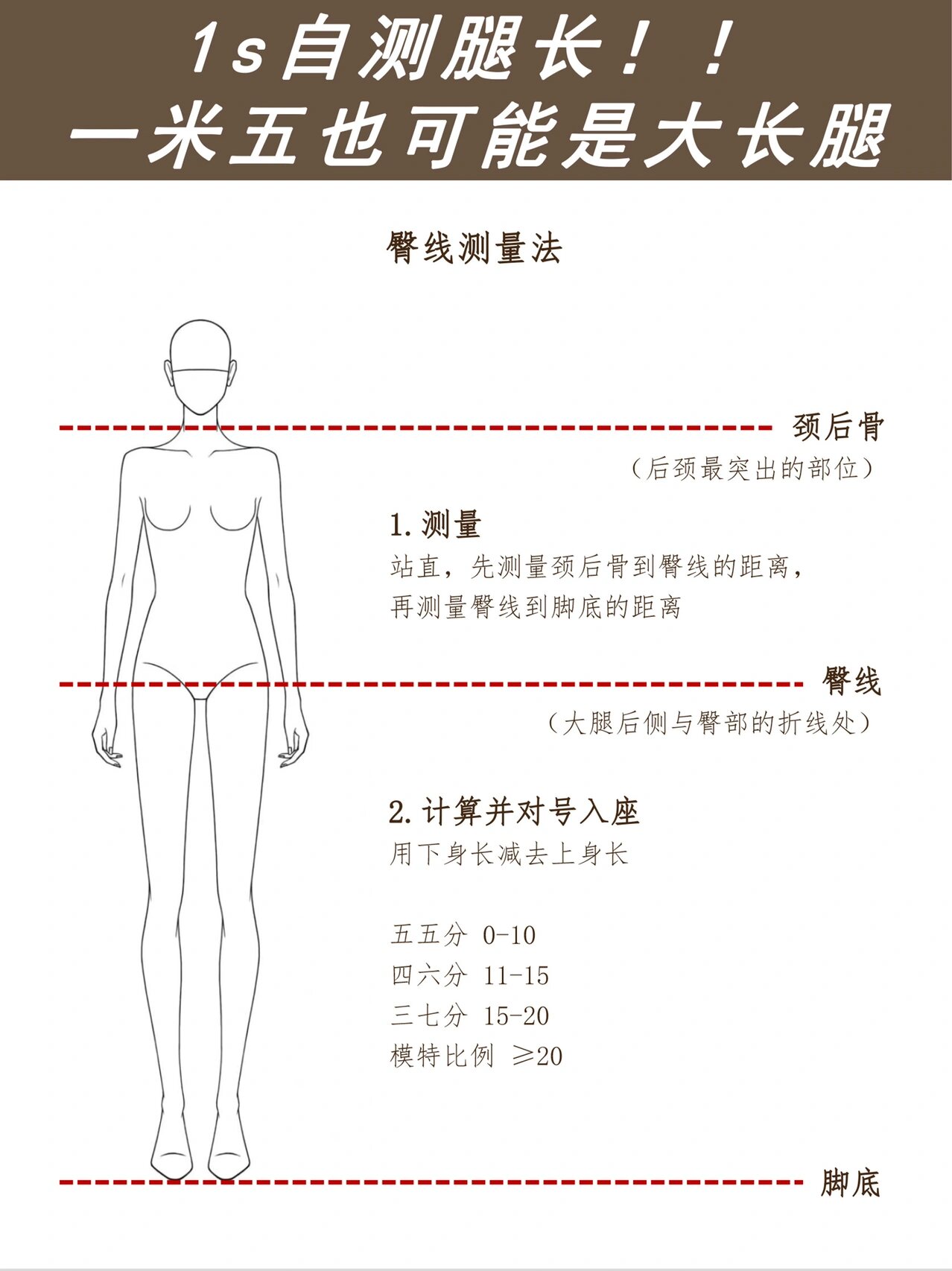 腿从哪里算起图片