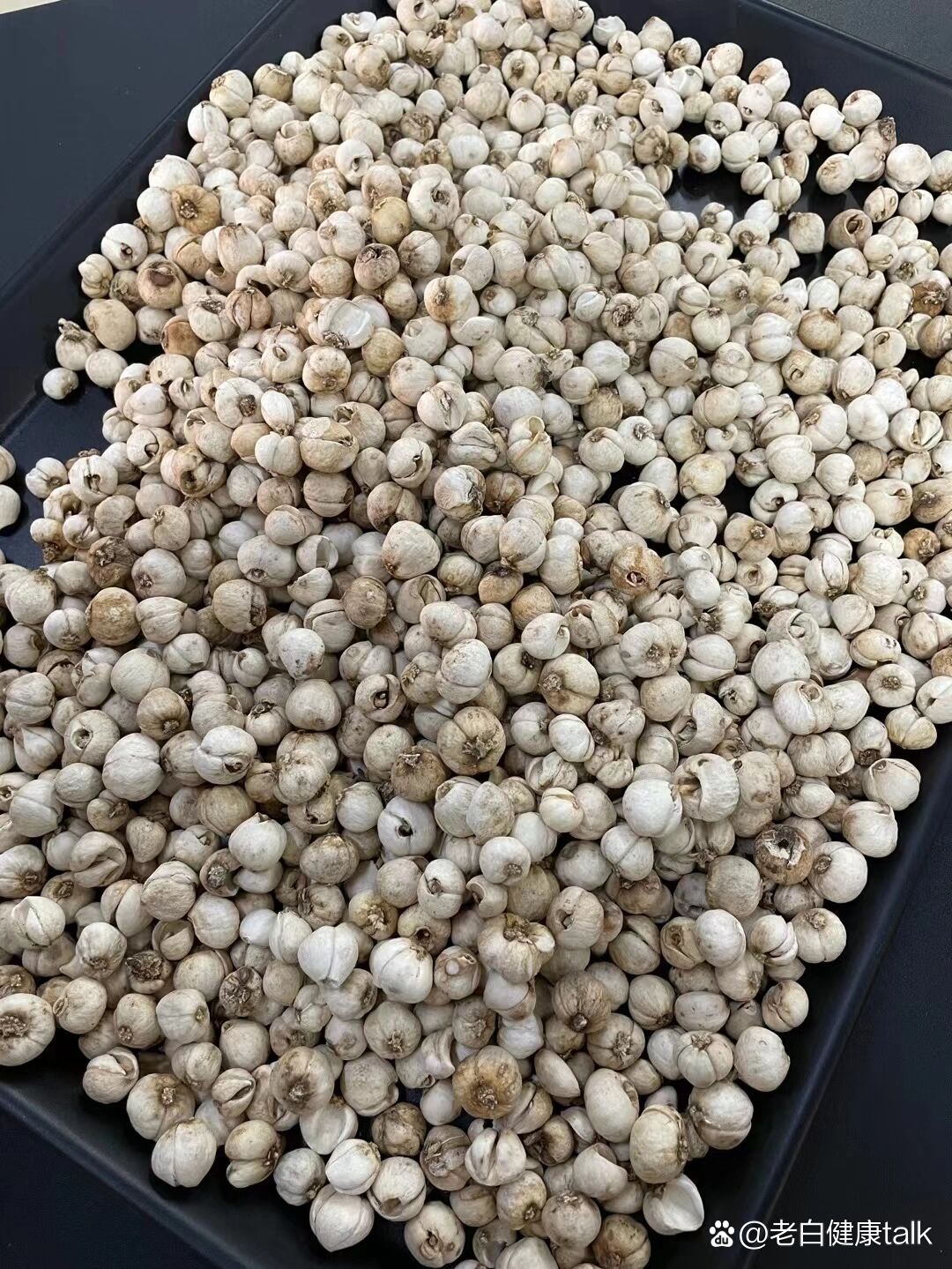 西藏野生藏贝母针对久咳不愈化痰止咳