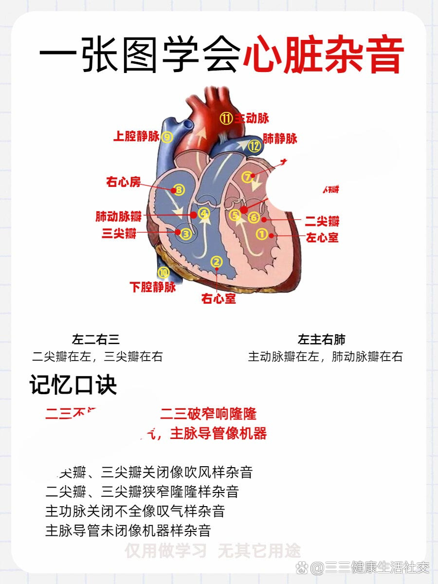 一张图教会你心脏杂音怎么看!