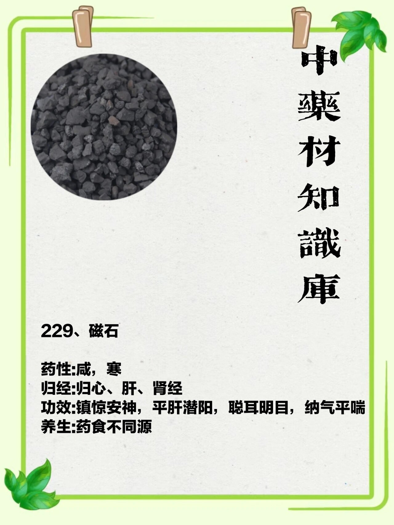 归心,肝,肾经  br>功效:镇惊安神,平肝潜阳,聪耳明目,纳气平喘  br>