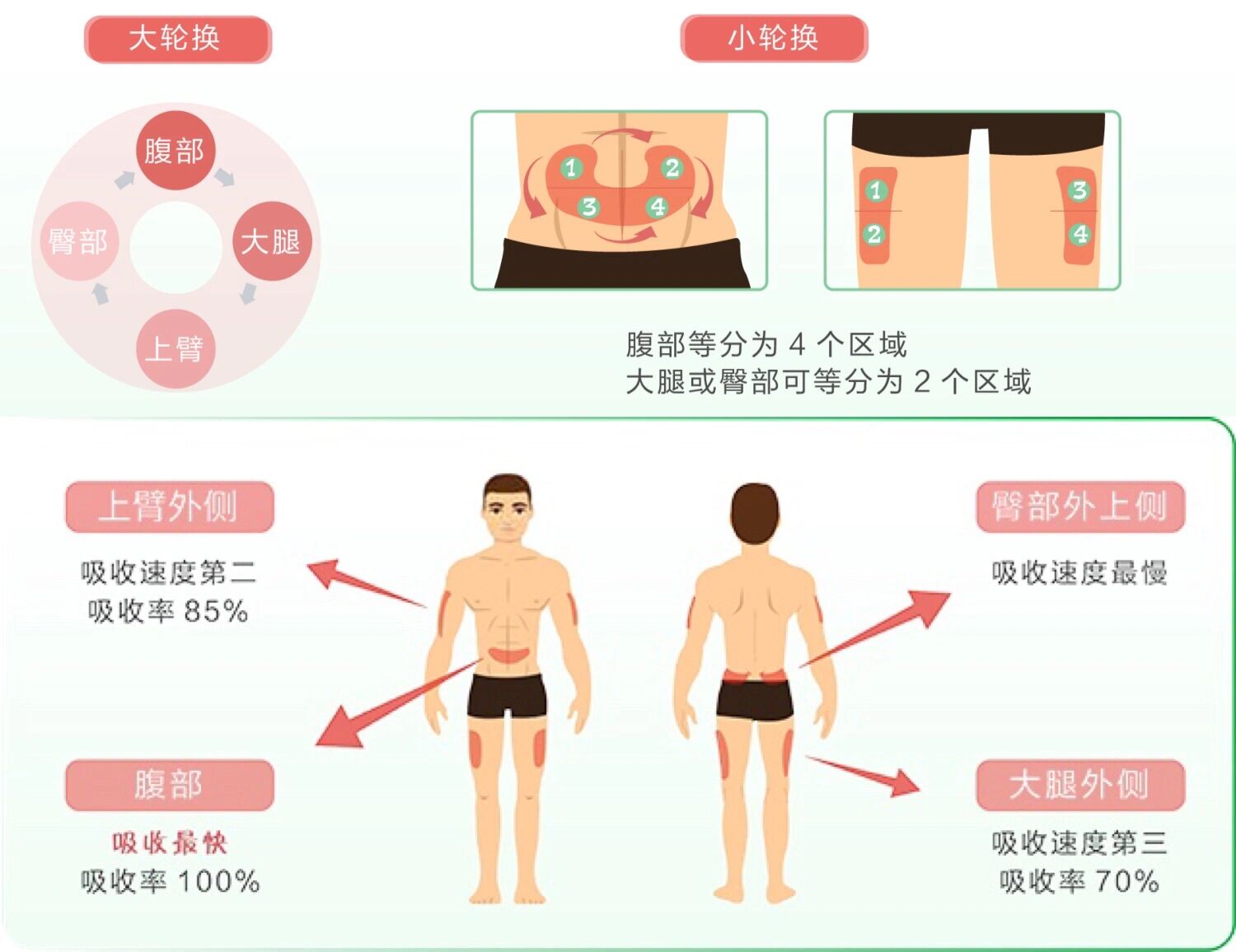 胰岛素部位图轮换图片