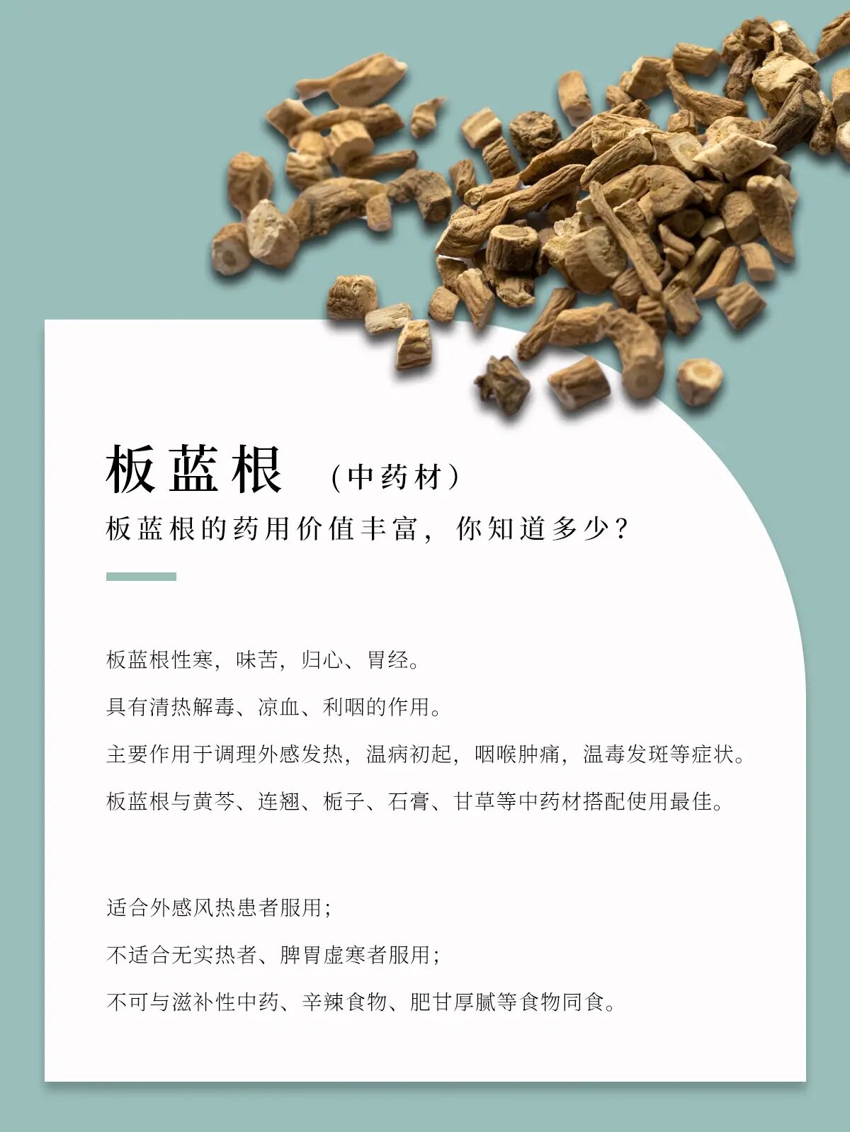 板蓝根的药用价值丰富,你知道多少?