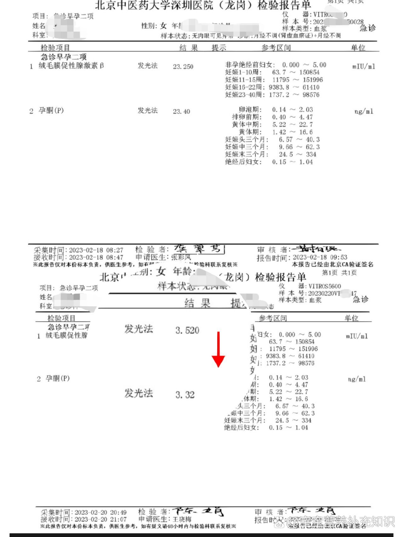 生化妊娠诊断书图片图片