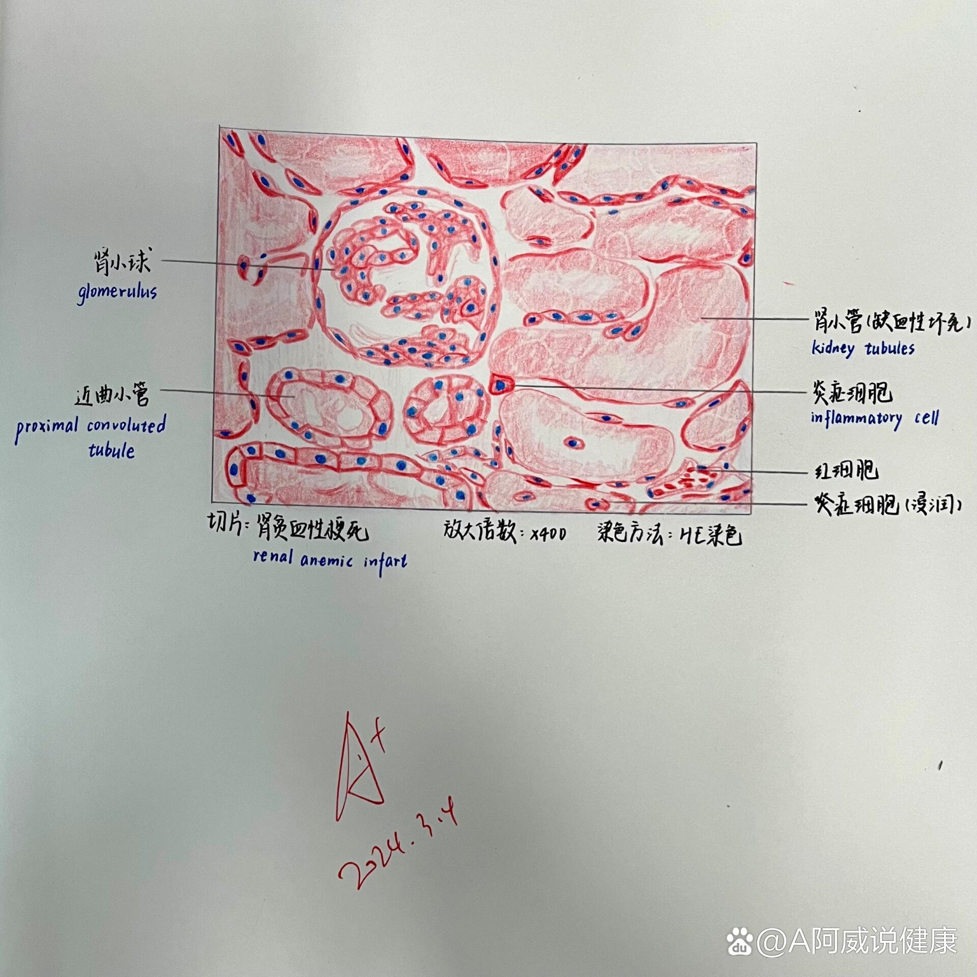 运动终板绘图红蓝铅笔图片