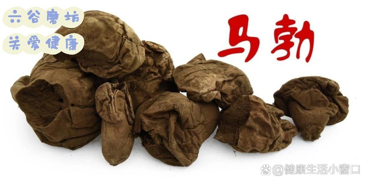 马勃的功效与作用