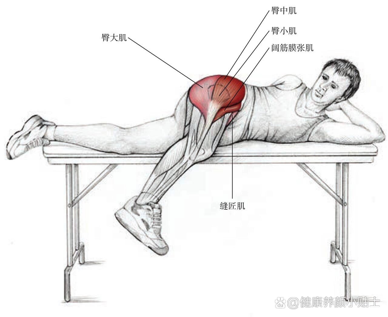 阔筋膜张肌拉伸动作图片