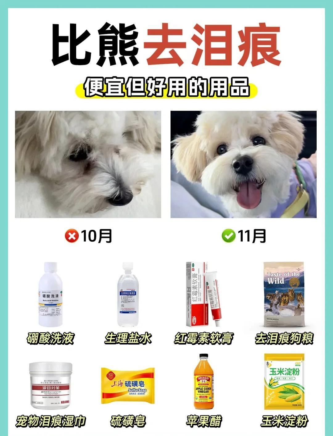 比熊泪痕困扰？