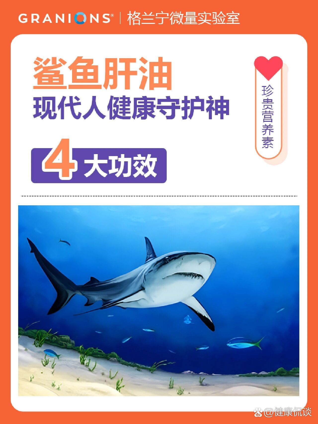 鲨鱼肝油00提高体免疫力78王中王78