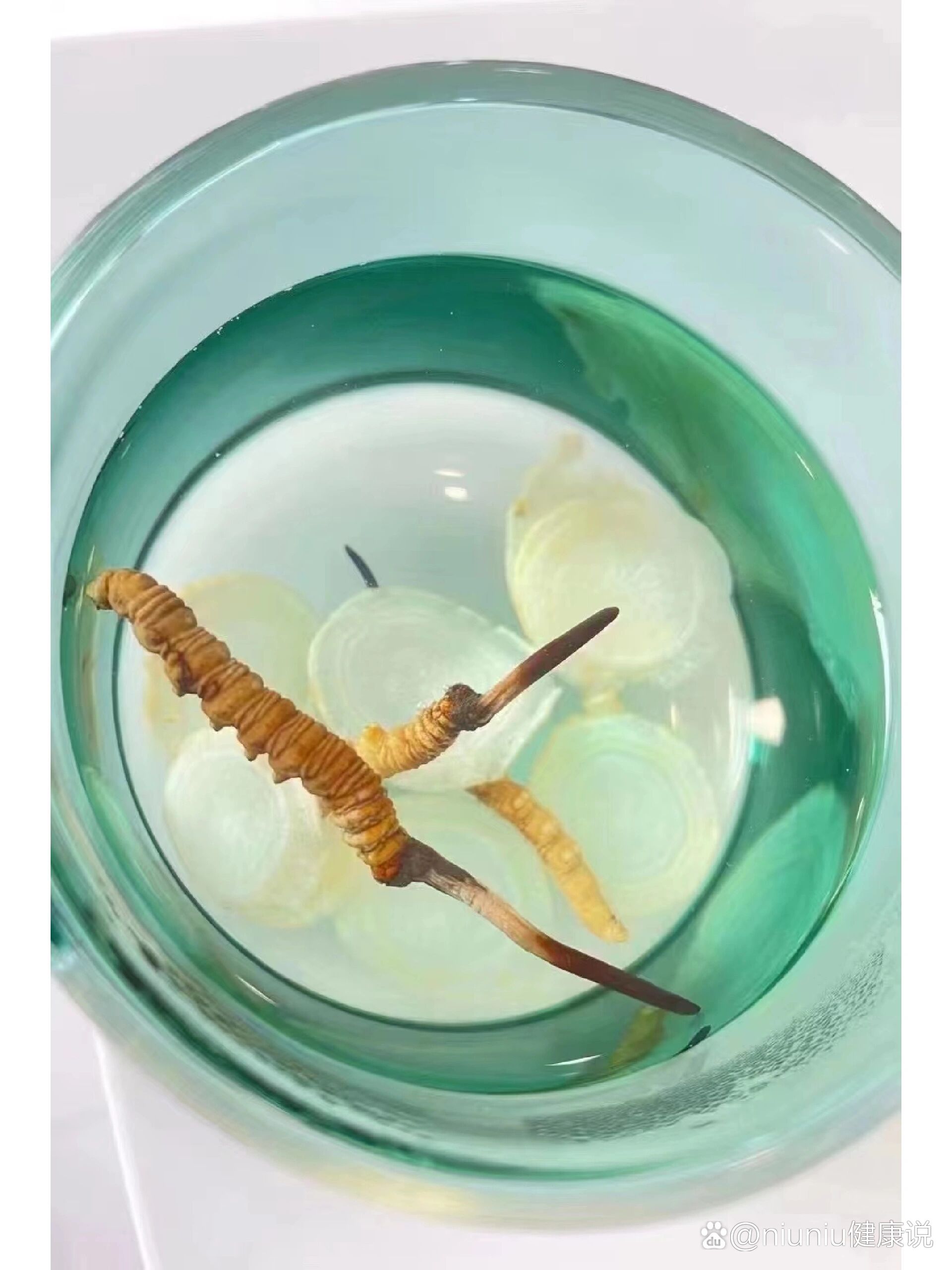  p>新鲜冬虫夏草的五种吃法 br>新鲜虫草属于阴阳