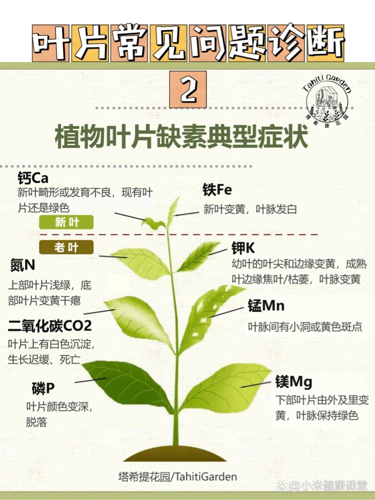 植物缺素口诀图片