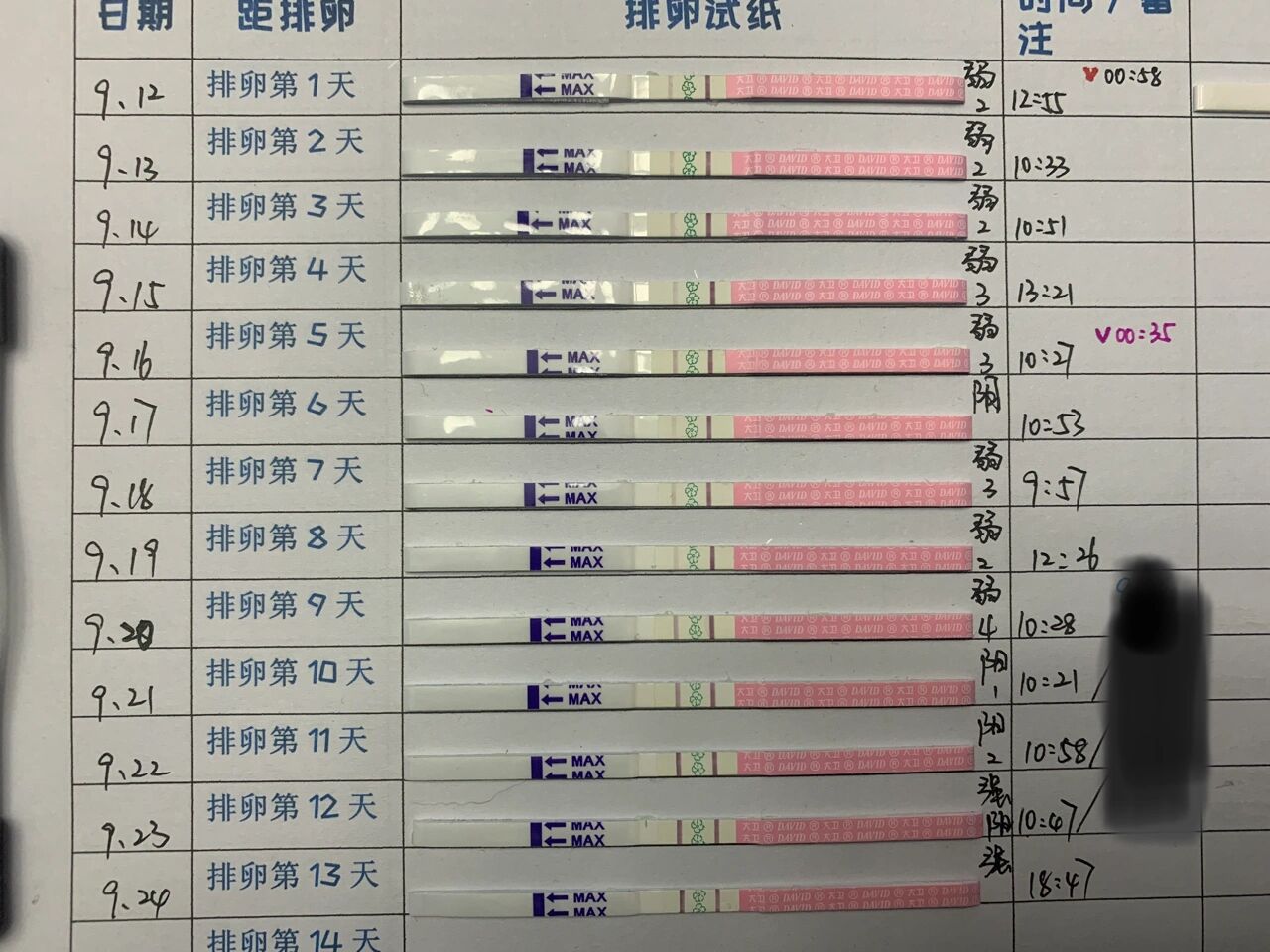 金秀儿还能给点心里安慰