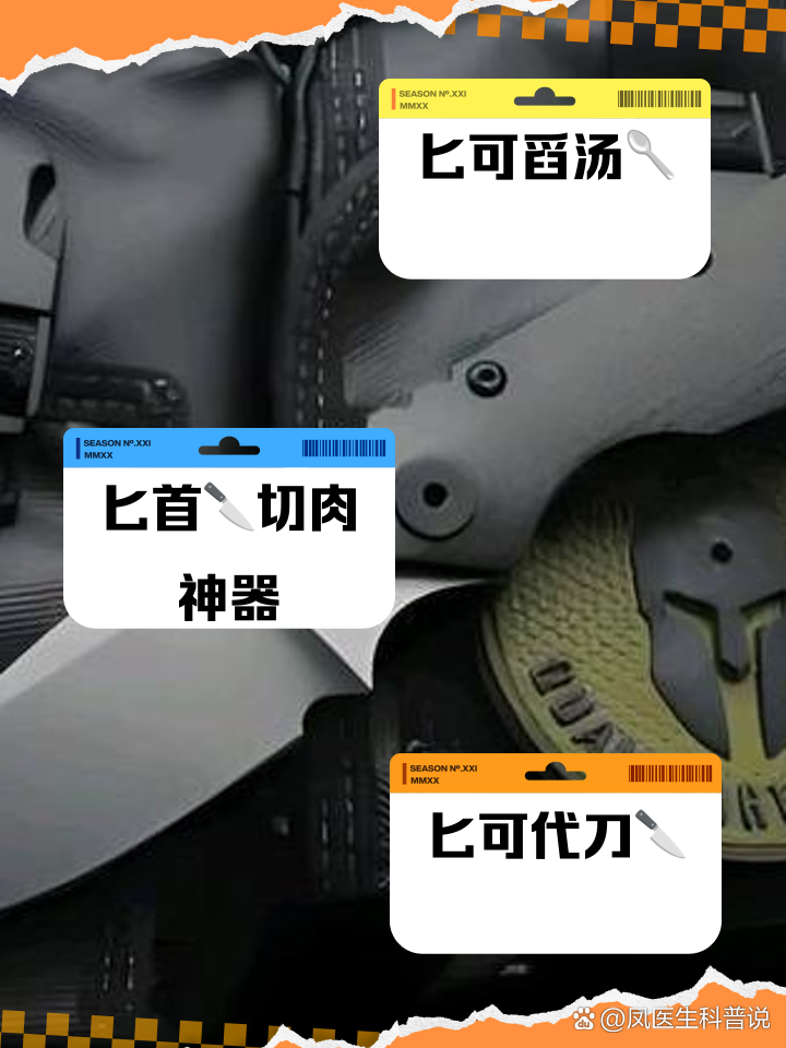 匕的作用与功效