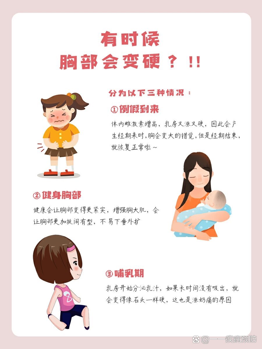 原来胸93有软硬之分,原因其实很简单 br>那是因为脂肪和乳腺的占比