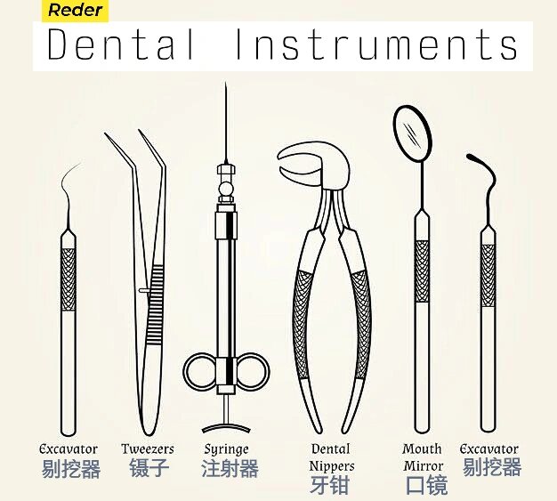 牙科工具英文名称带图图片