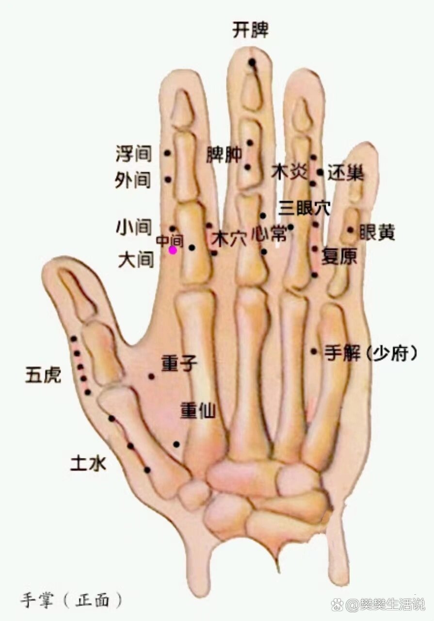 针灸手针25绝技 董氏图片