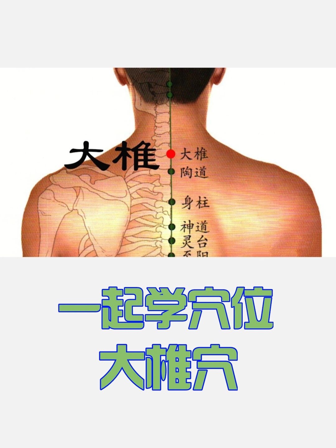 一起学穴位之大椎穴