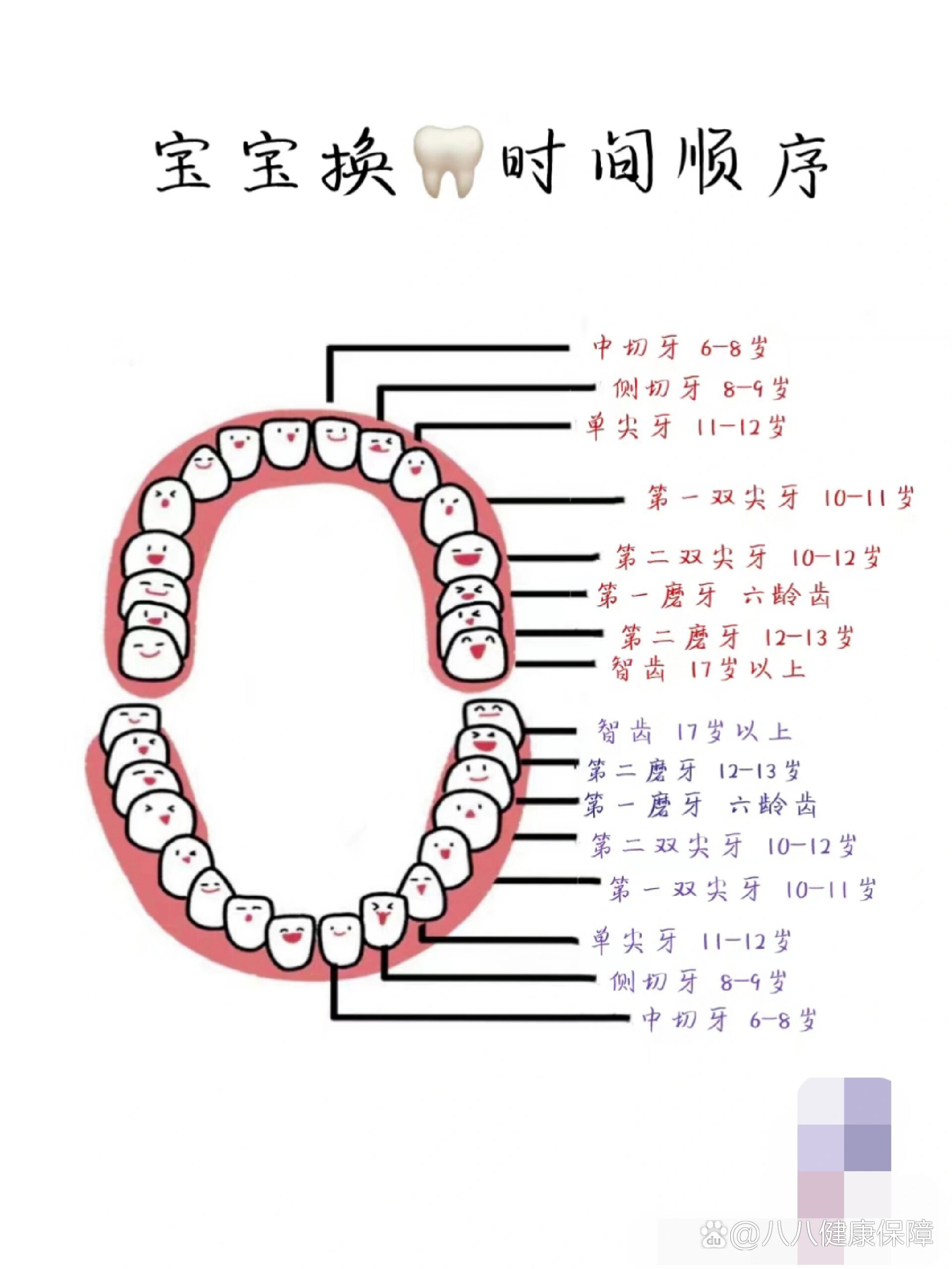 换牙的先后顺序图图片