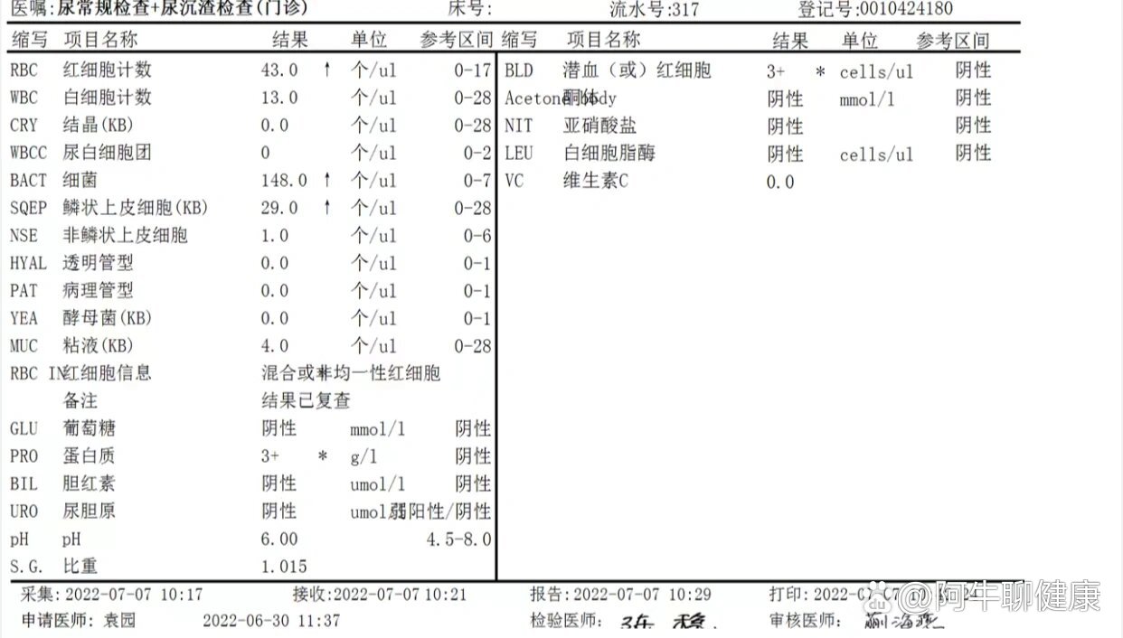 尿潜血2十是怎么回事图片