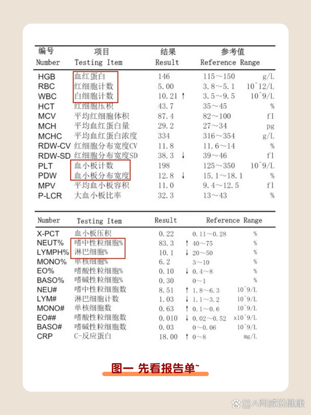 白血病怎么检查图片