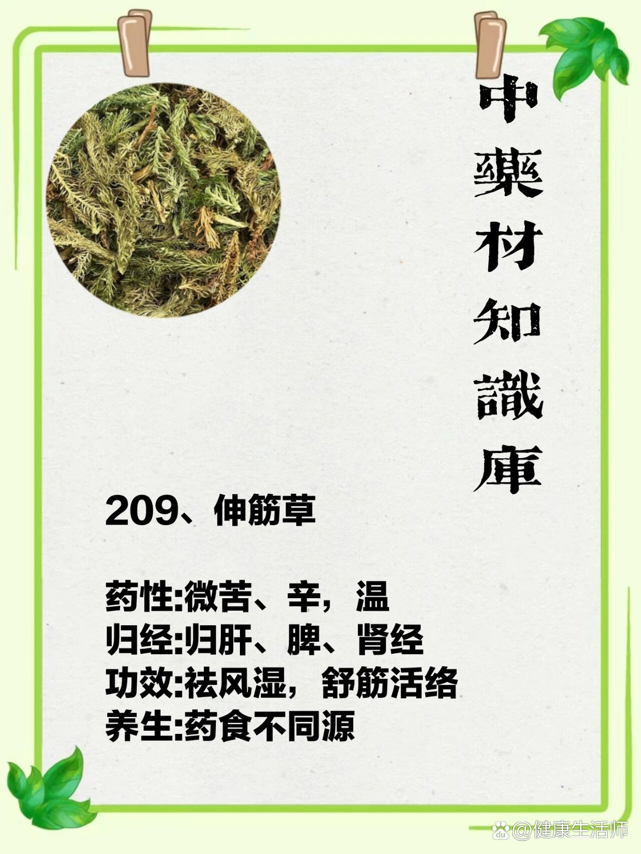 伸筋草 br 药性 微苦