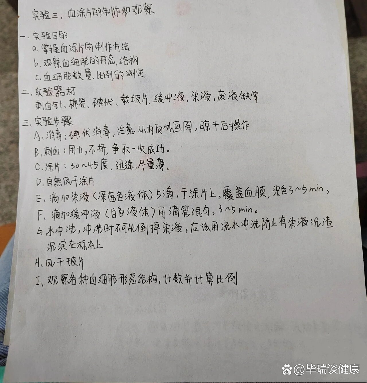 血涂片的制作步骤过程图片