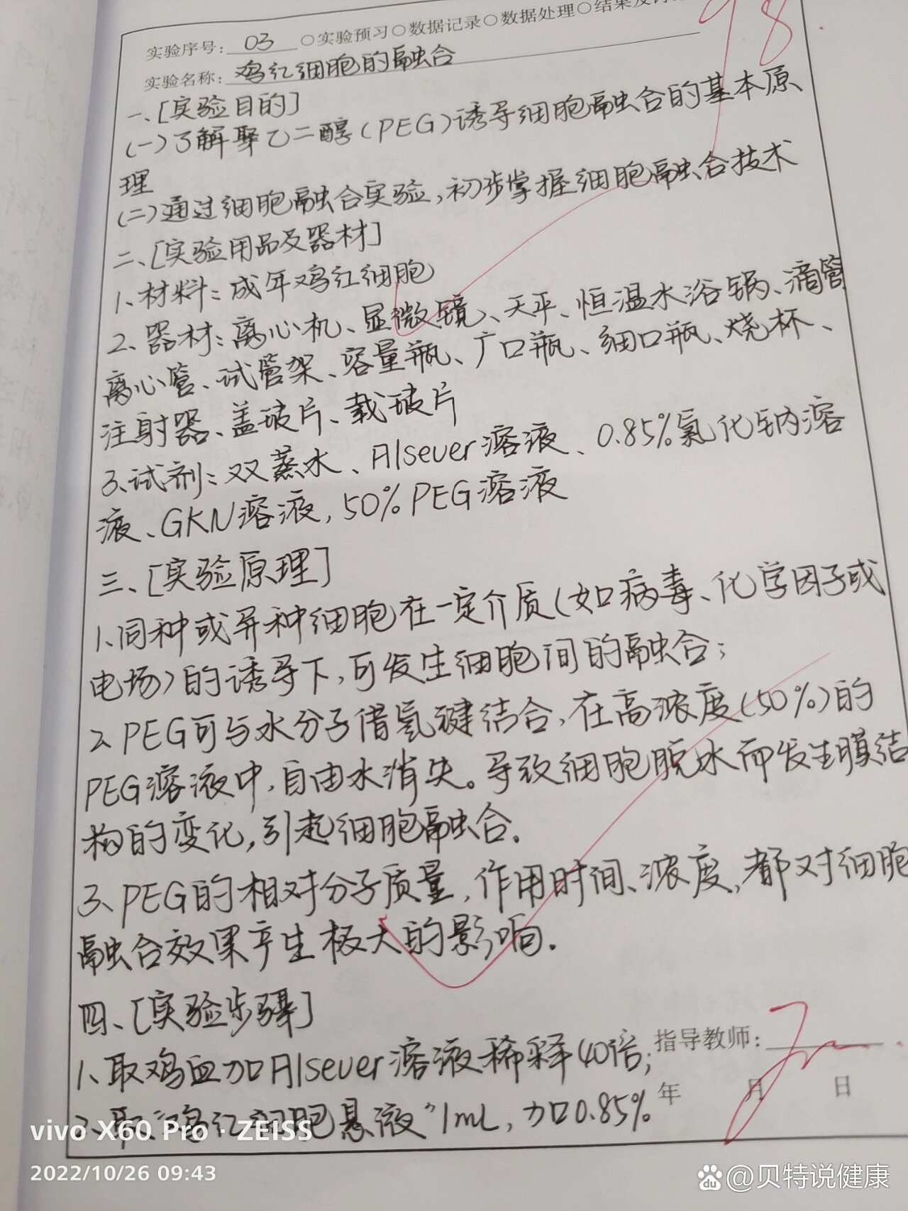 鸡红细胞融合实验报告