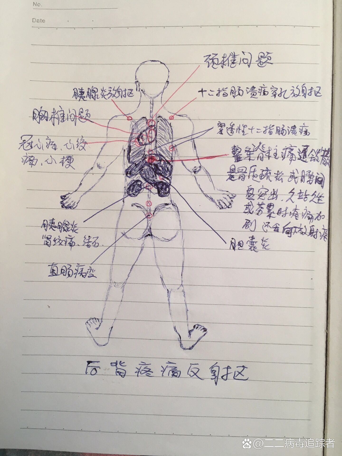 后背涨痛位置图详解图片