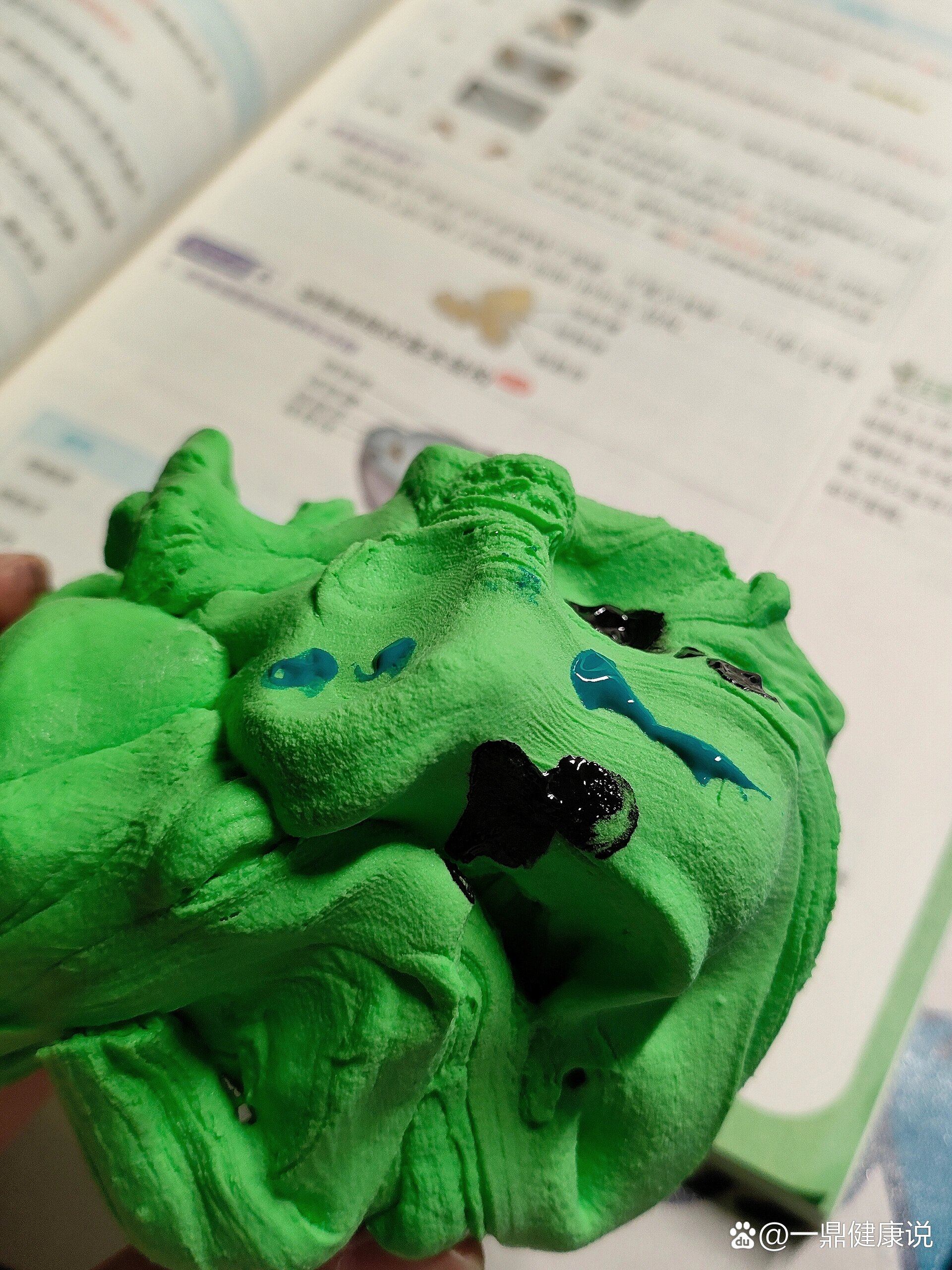 植物细胞模型丨粘土