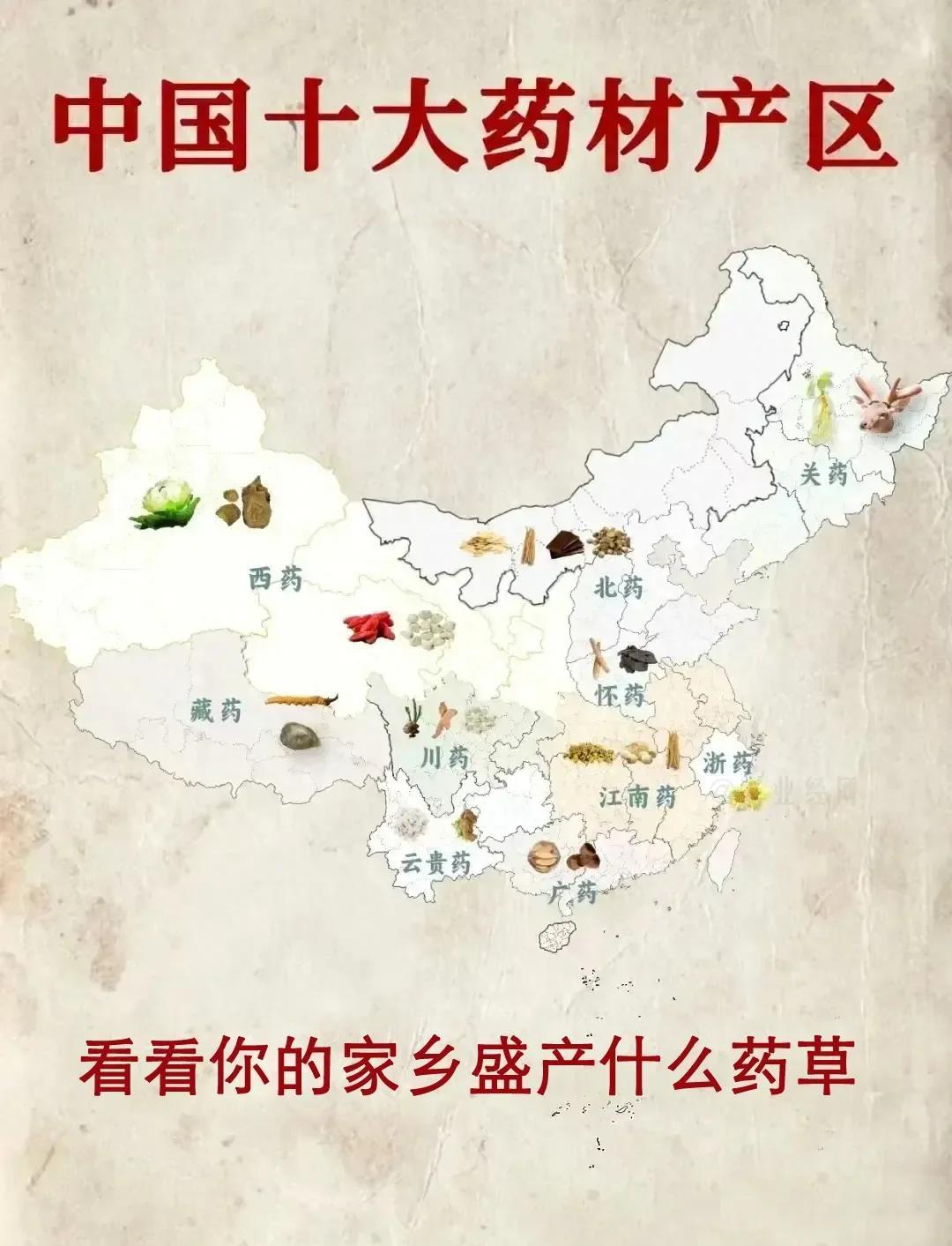 中药材分布地图，了解你的老家特产🌿