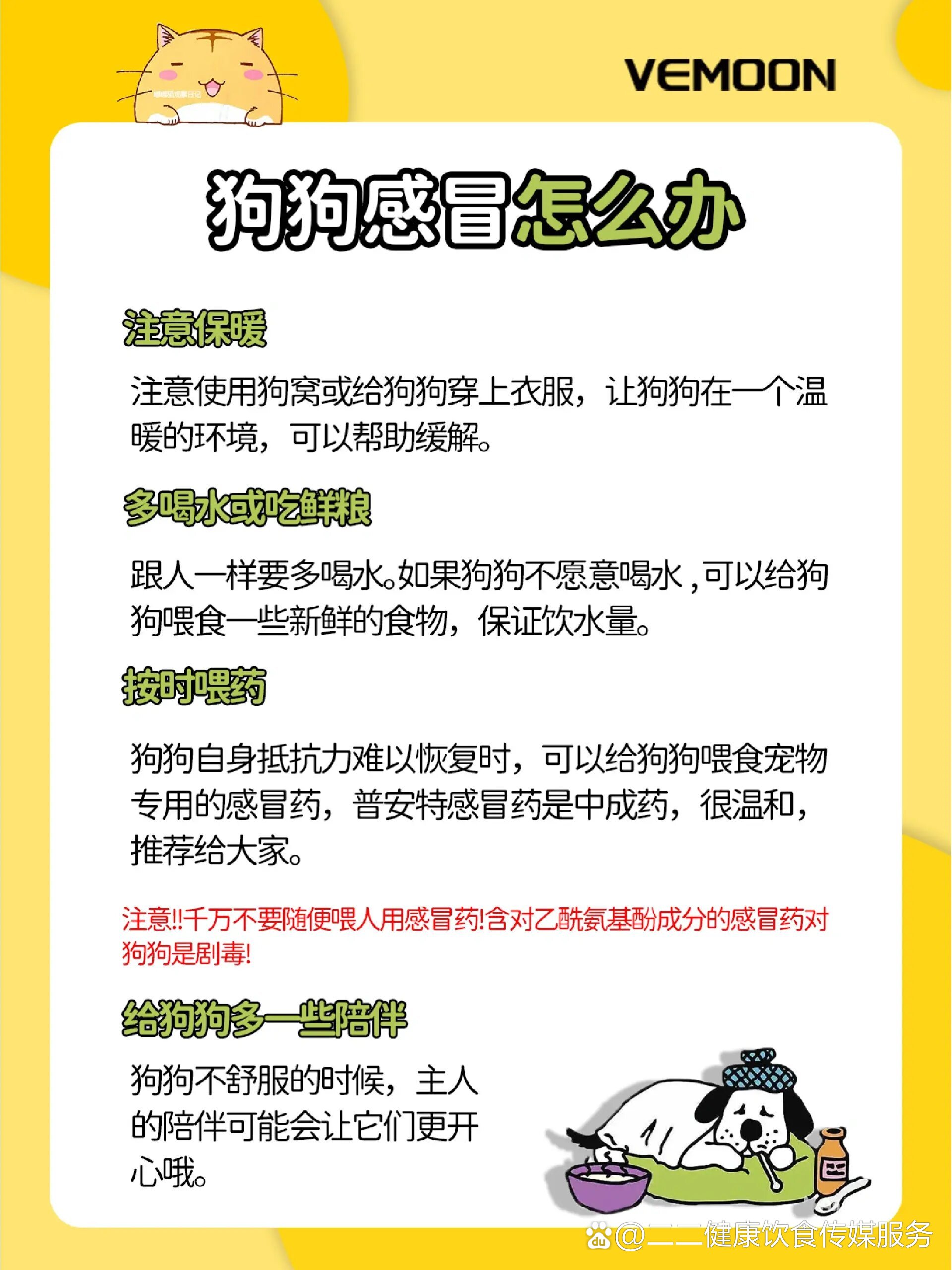 狗狗感冒发烧怎么办05自行判断处理
