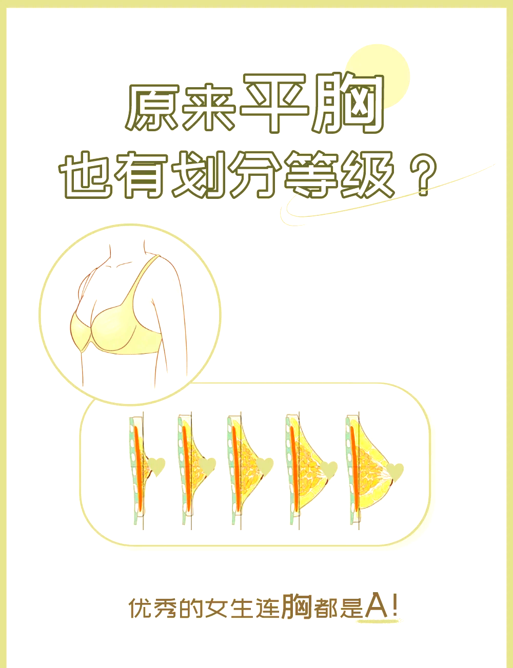 👙平胸也有等级？