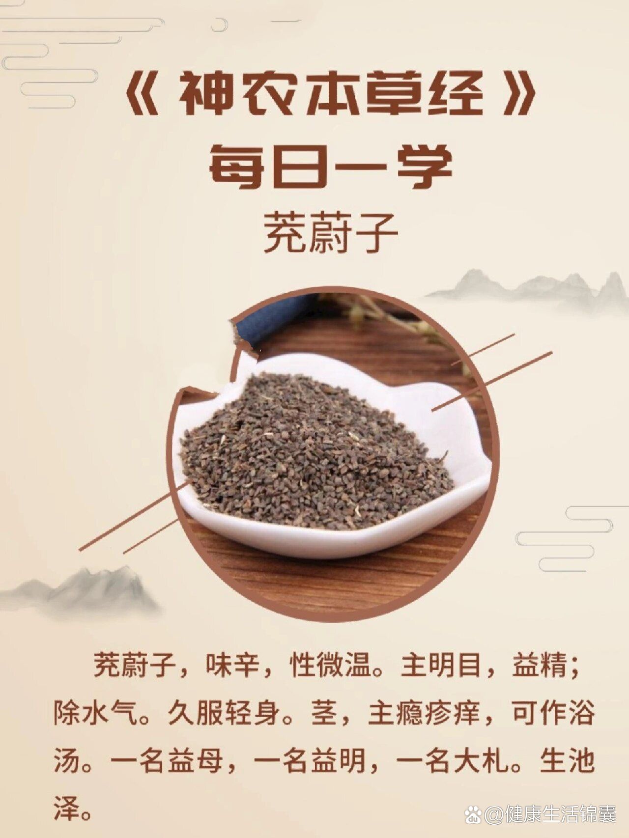 学中药·茺蔚子