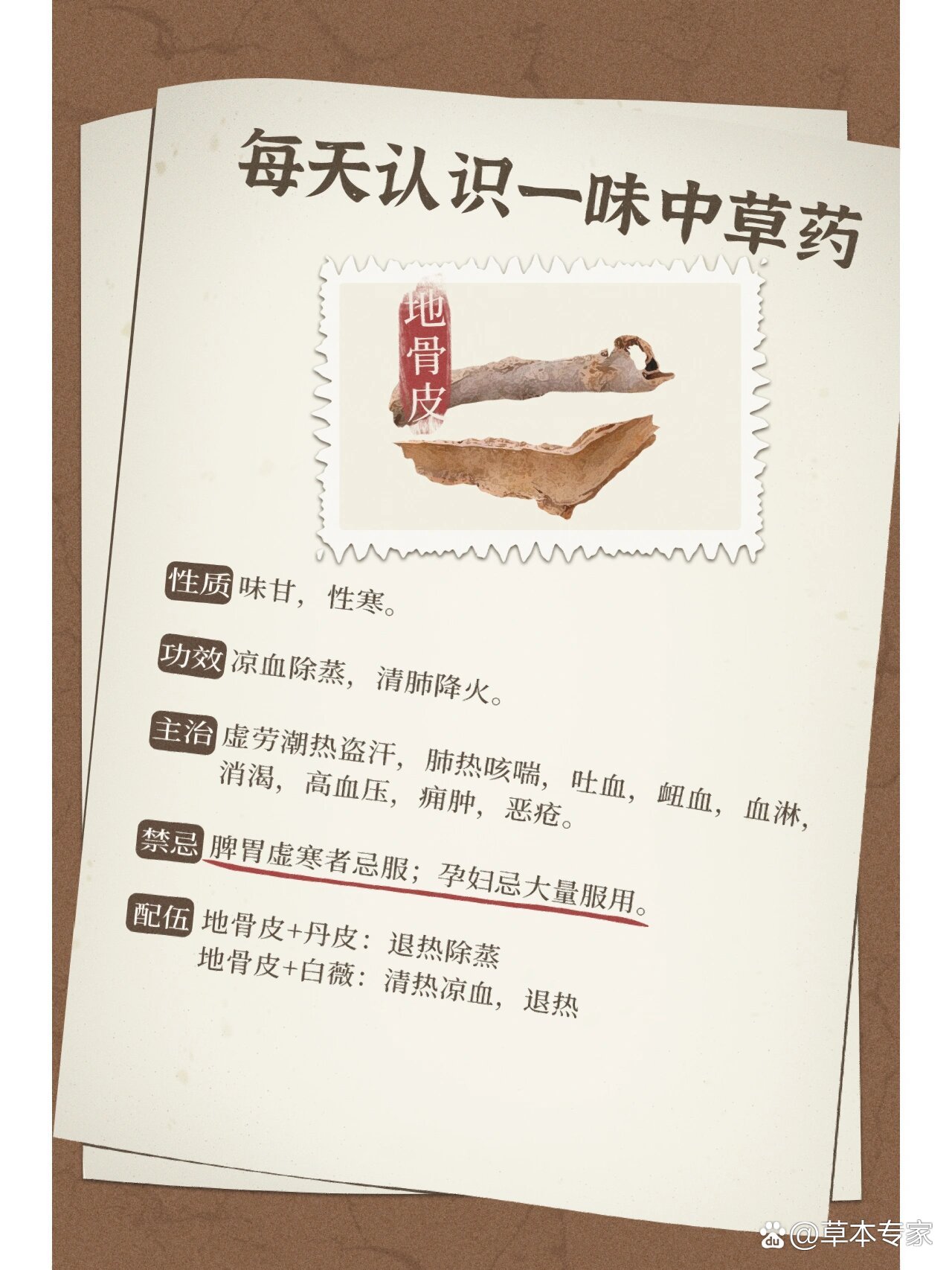 每天认识一味中草药|地骨皮