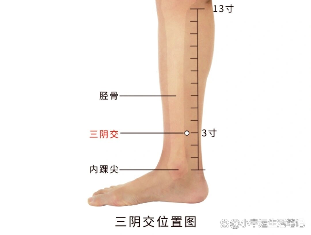 三阴准确位置图片图图片