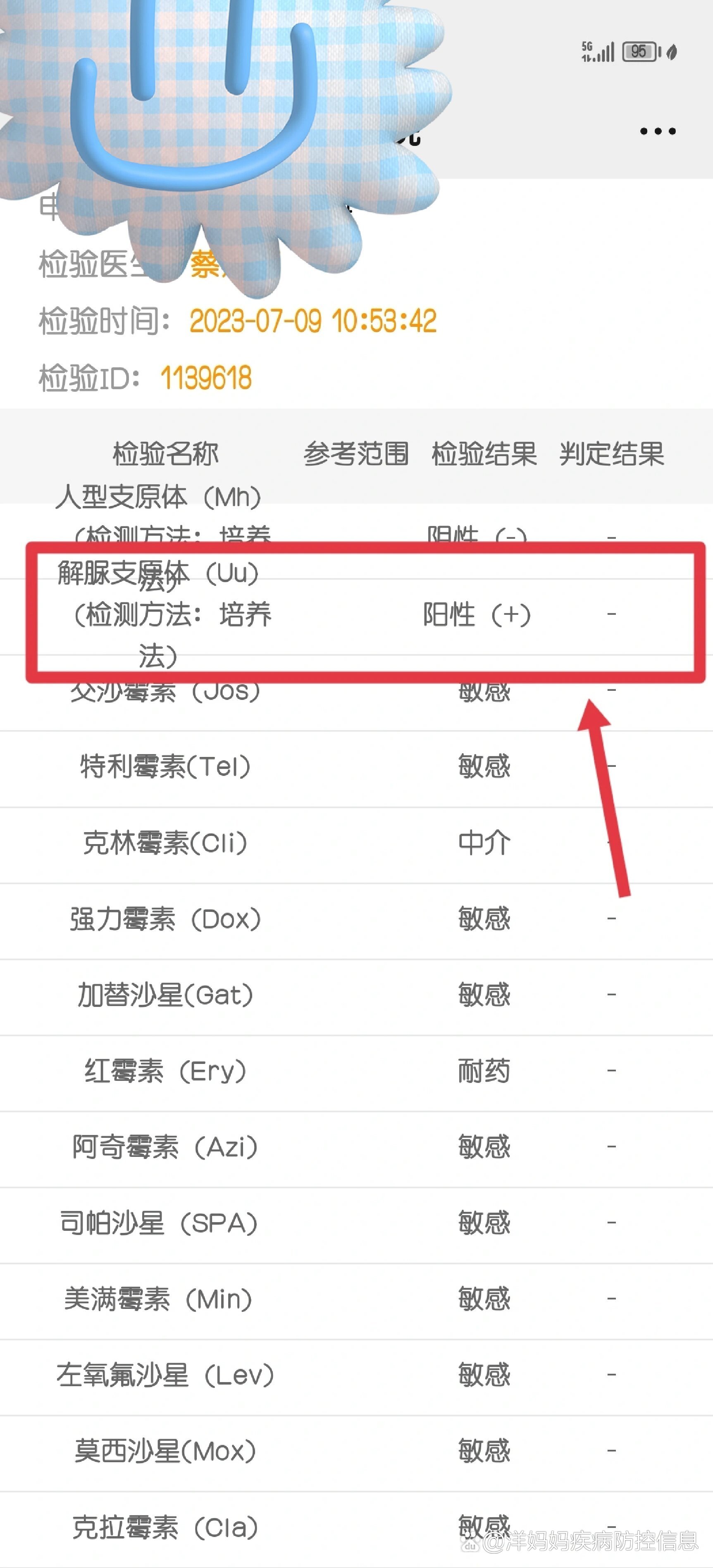 分享下解脲支原体阳性的体验