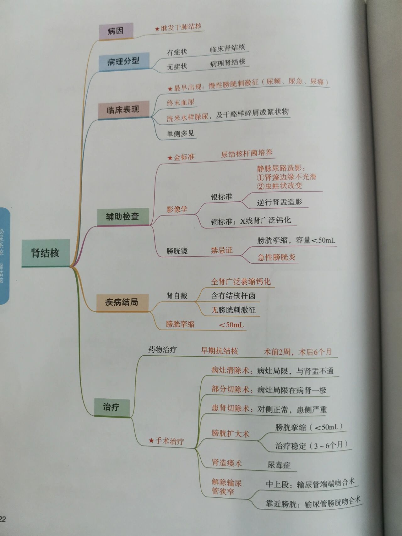 泌尿系统思维导图七下图片