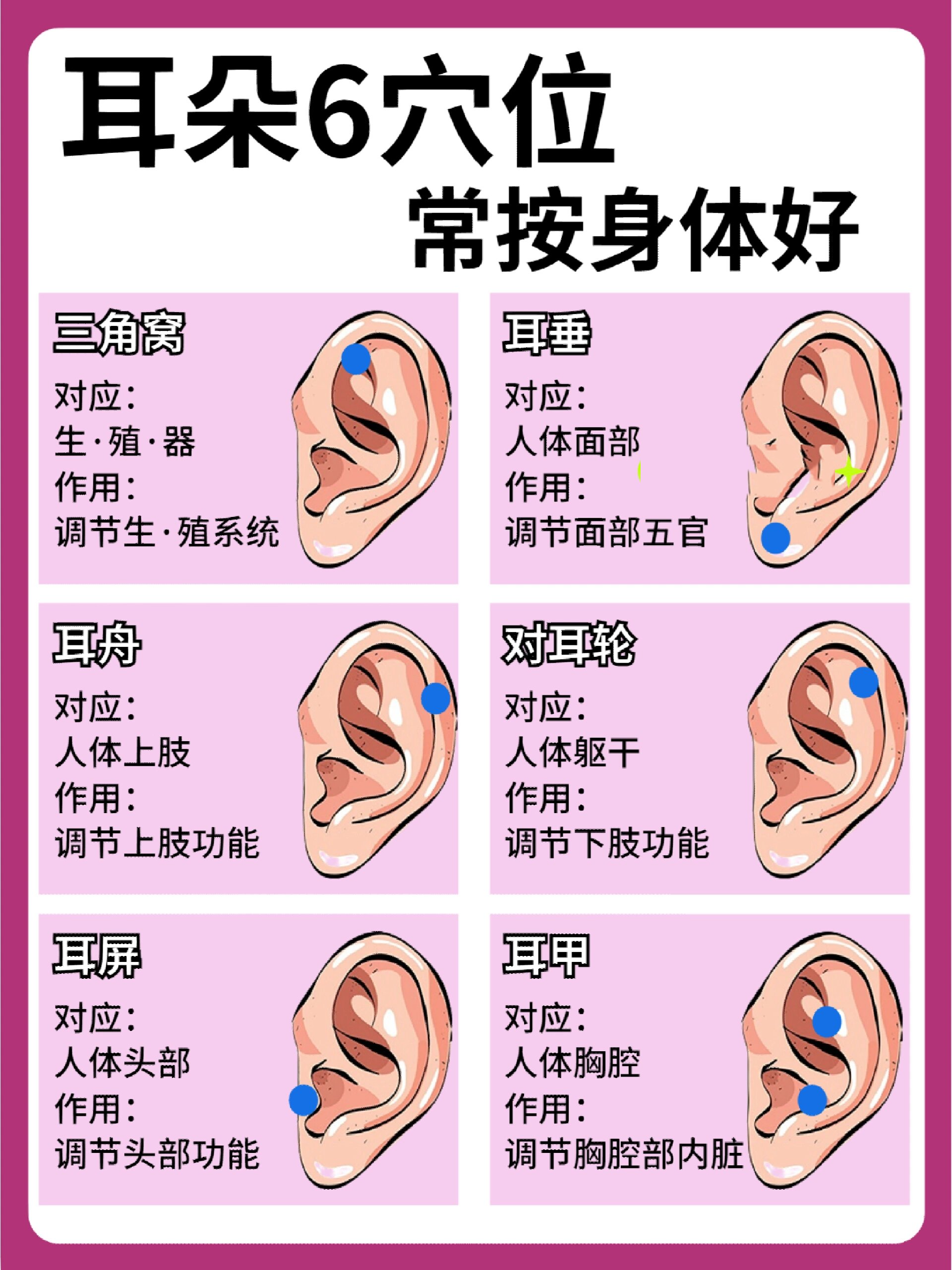 耳朵的准确位置图图片