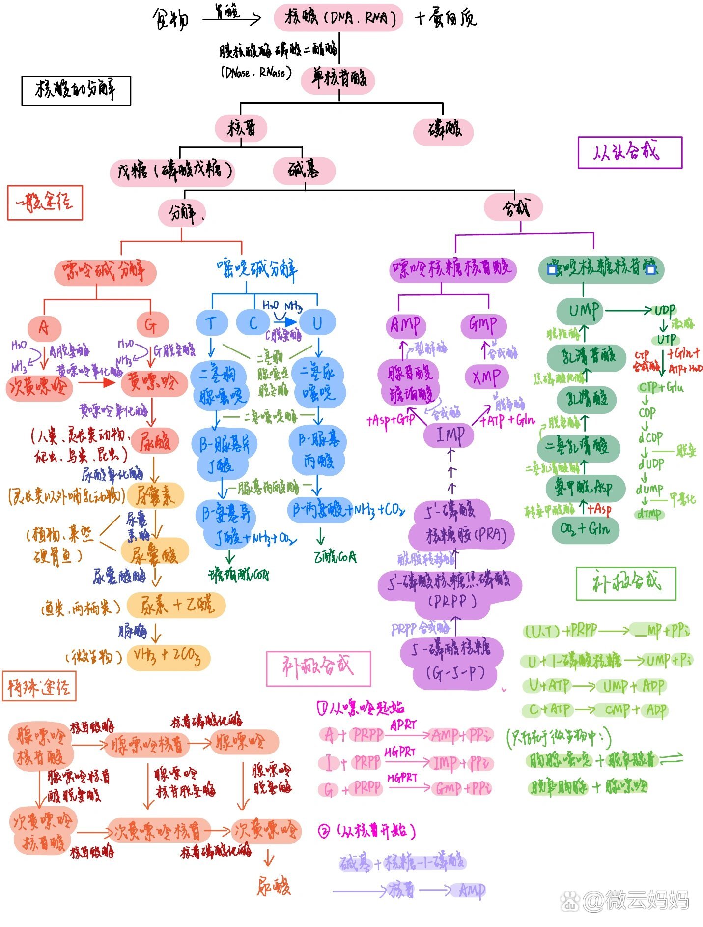 一张图搞定生化四大代谢【合辑】😆