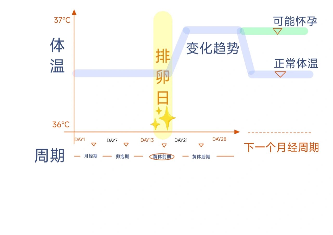 体温怎么看图片