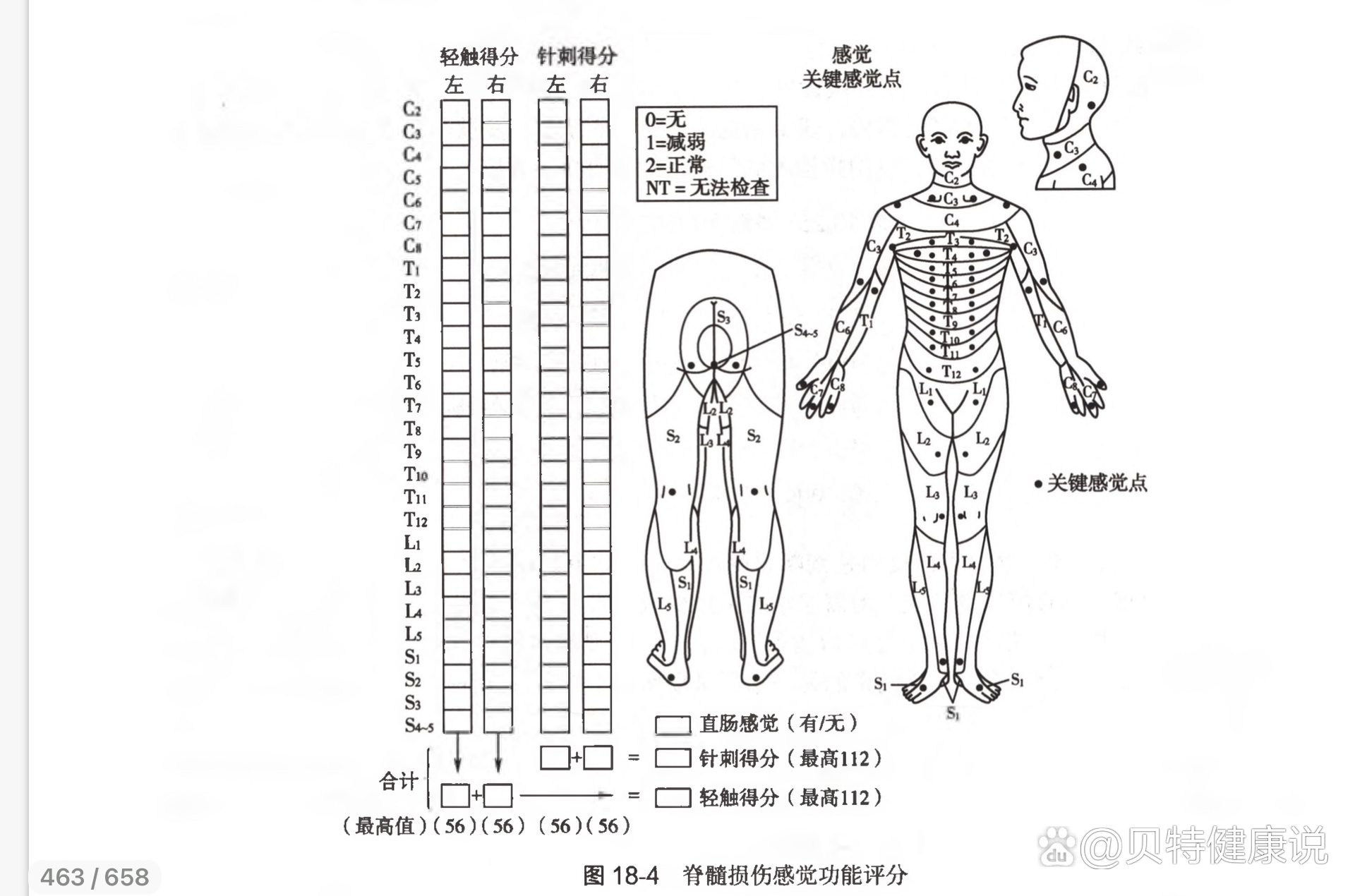 感觉分布图图片