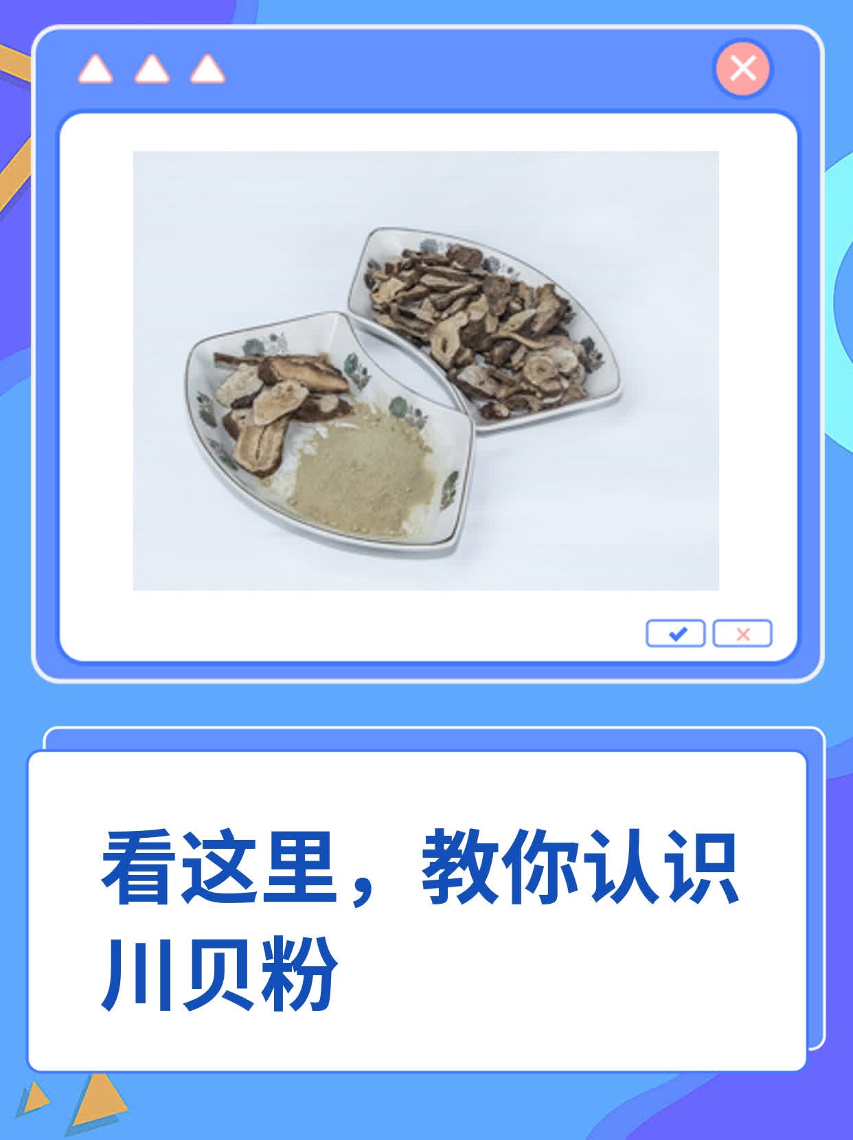 看这里,教你认识川贝粉