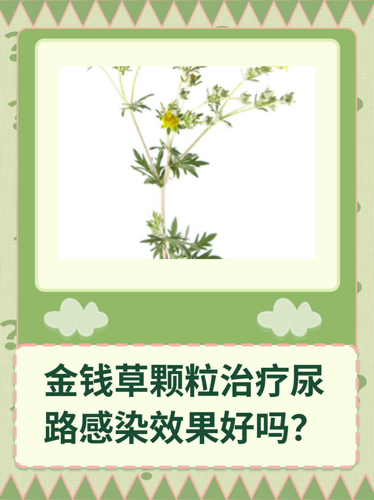 金钱草颗粒治疗尿路感染效果好吗?