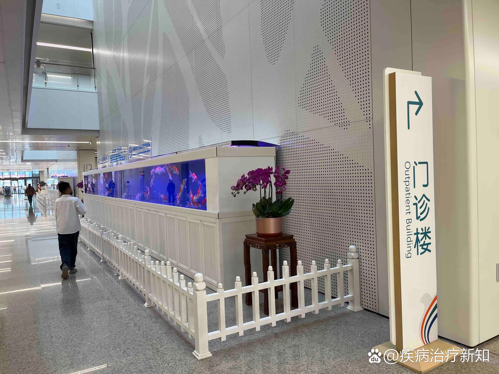 河北医科大学第一医院（河北医科大学第一临床医学院）当天就能挂上号的简单介绍