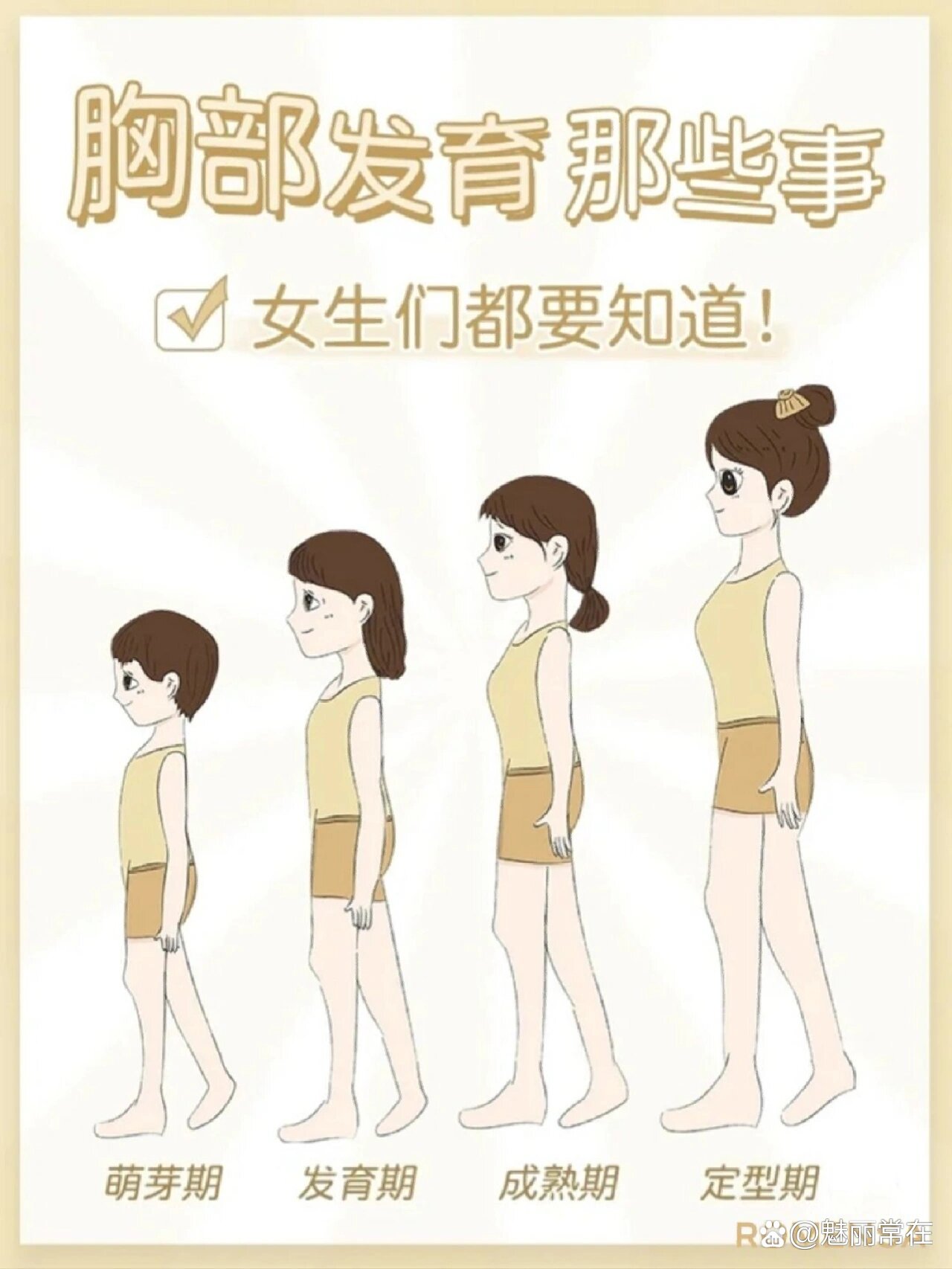 胸部成长史,你在哪一阶段?
