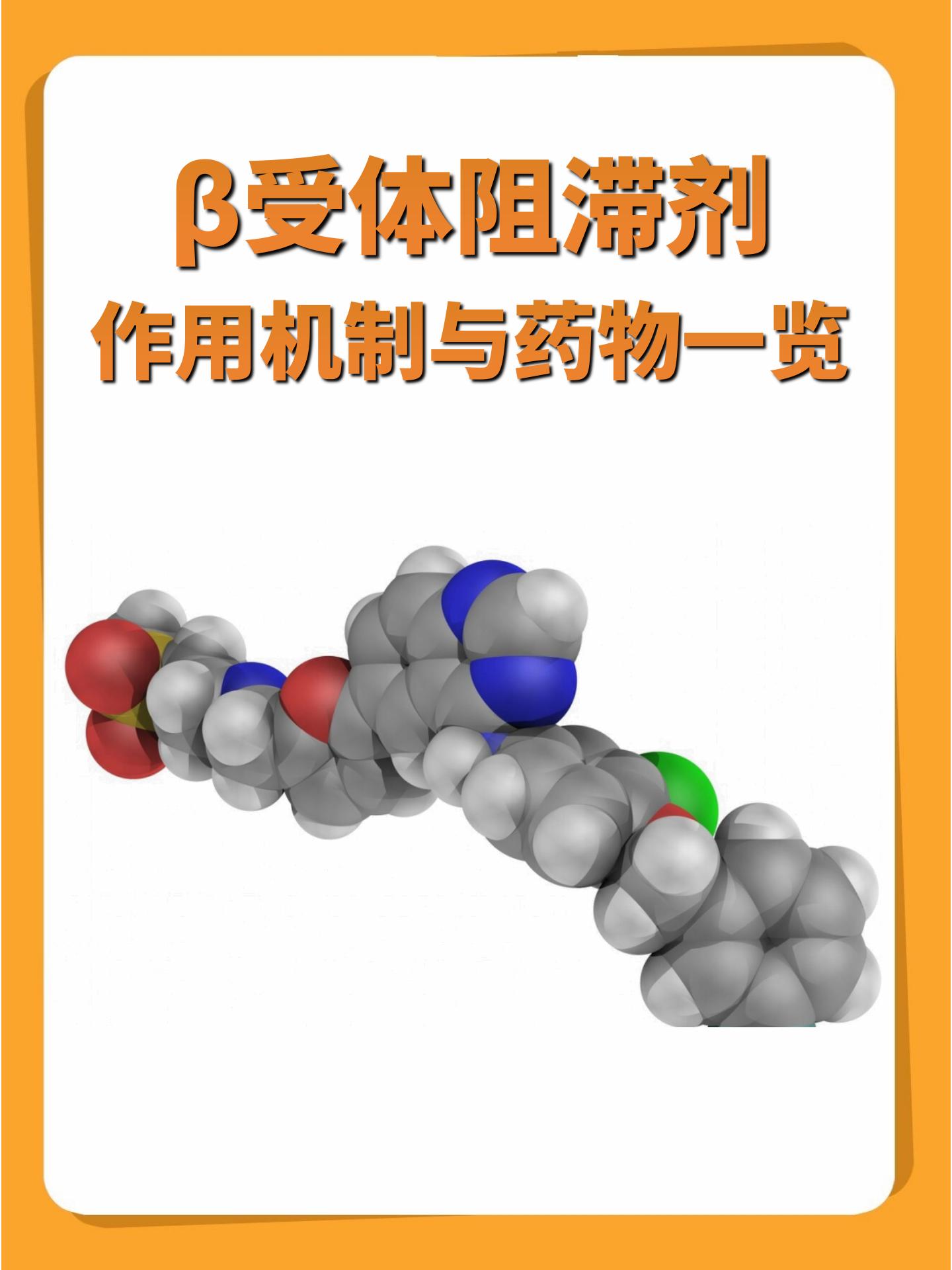 β受体阻断药图片