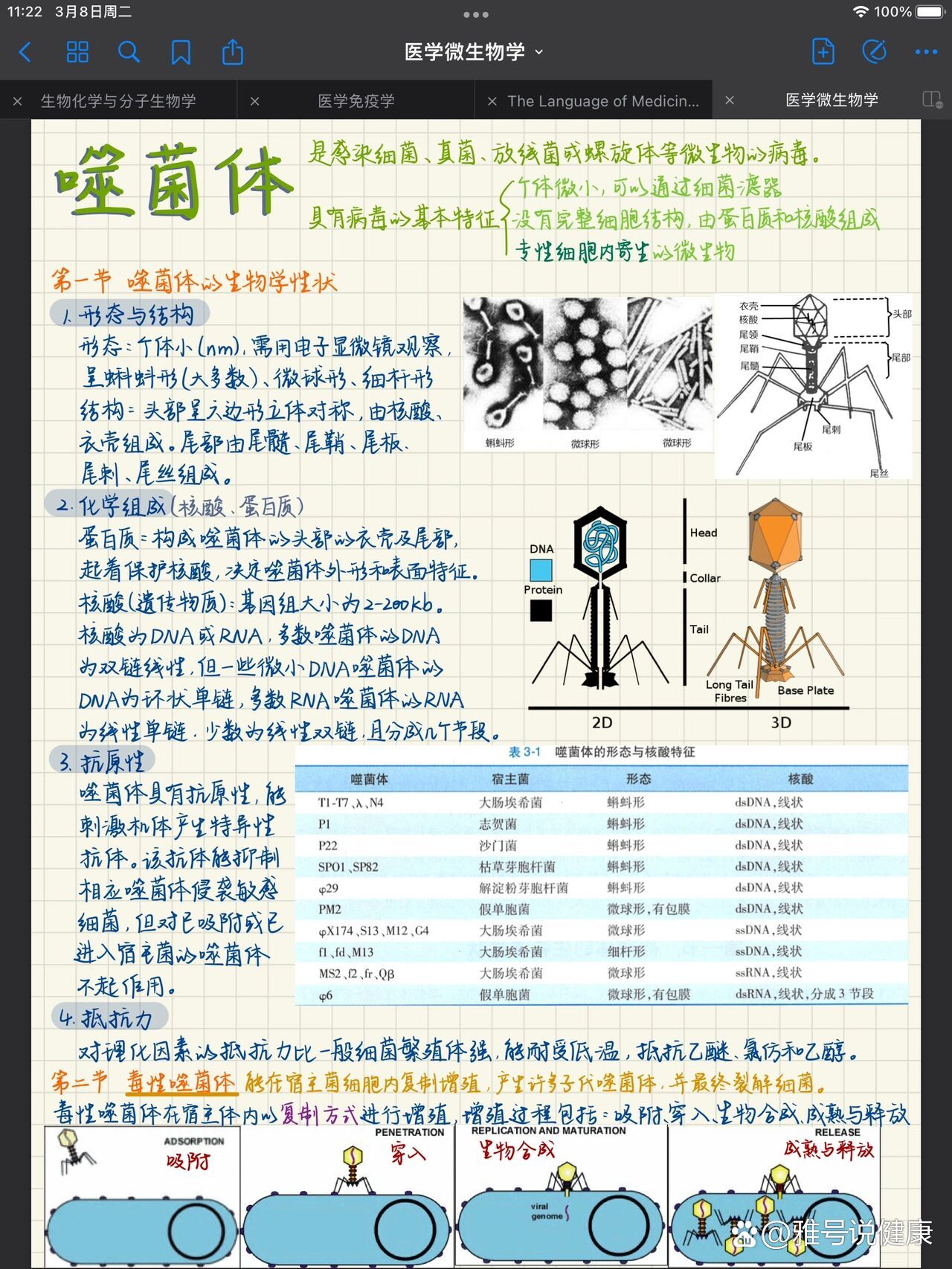 三章  br 临床医学考研期末复习资料  br ipad手写电子笔记goodnotes