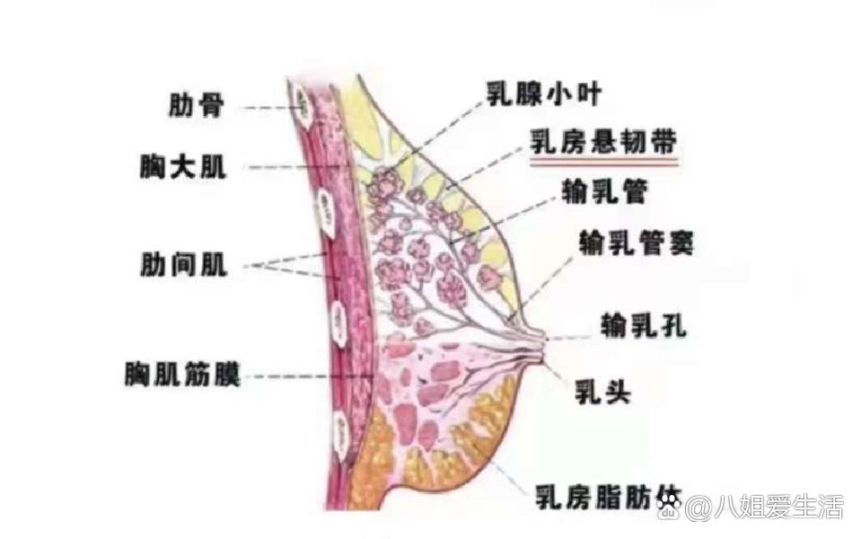 乳腺疏通有什么好处?