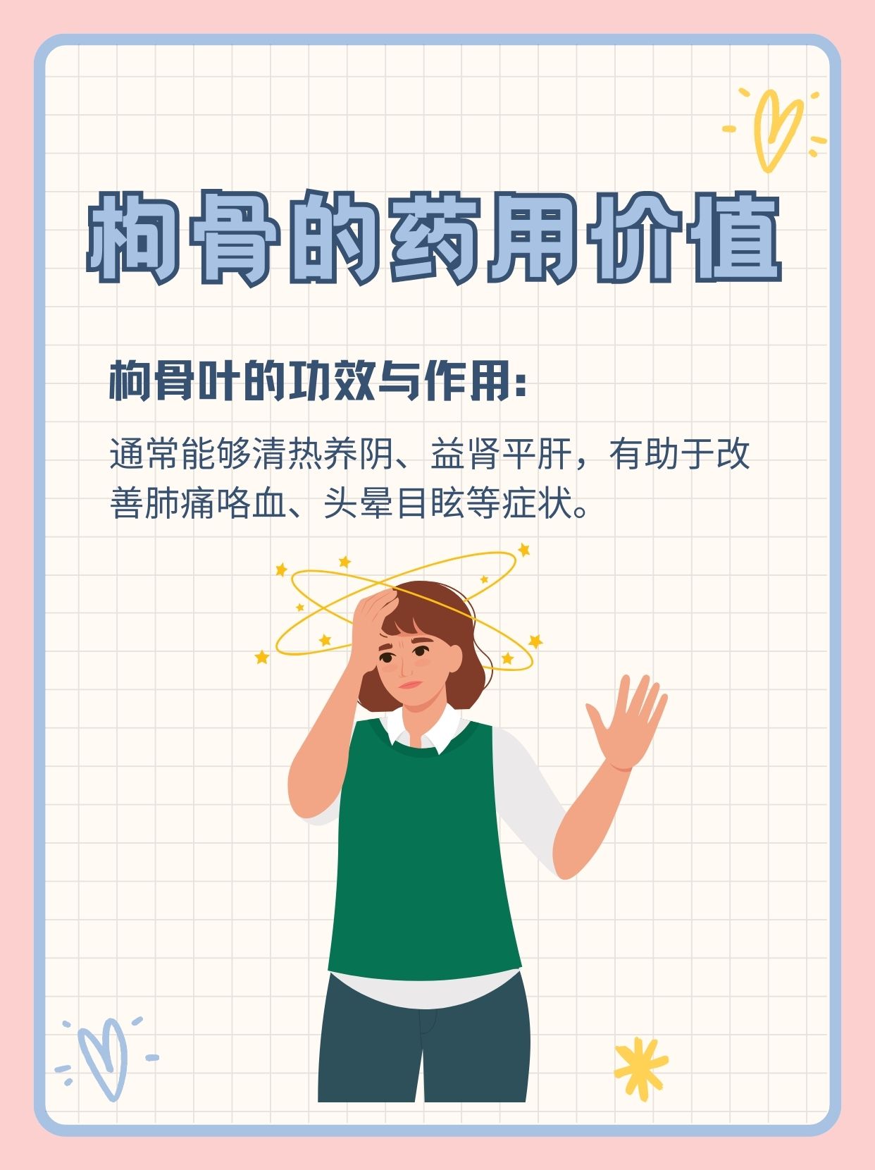 走近枸骨:它有什么药用价值?有什么功效作用?