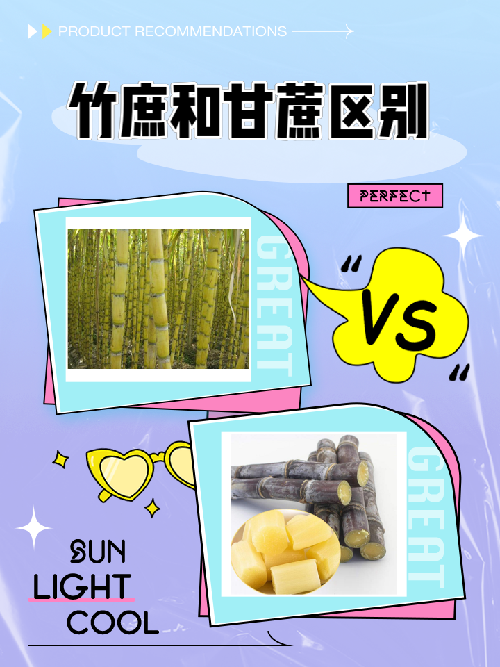 竹庶和甘蔗区别