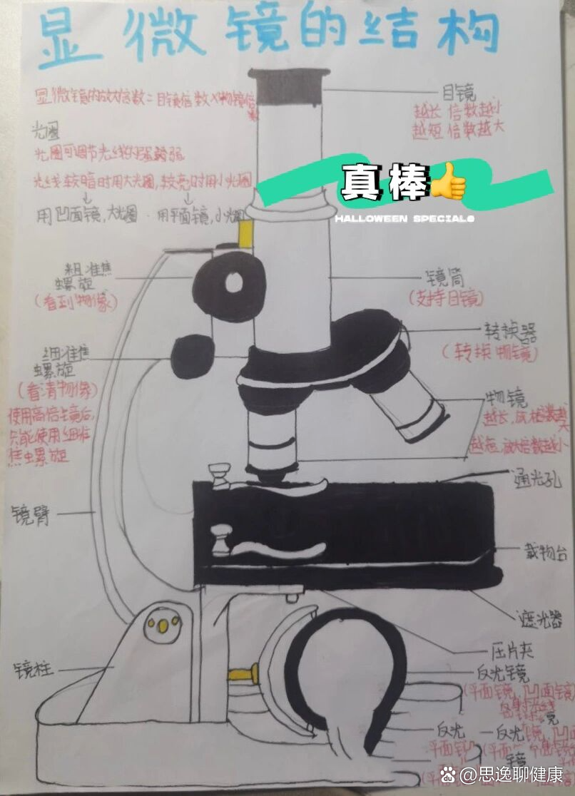 《显微镜的使用》——思维导图